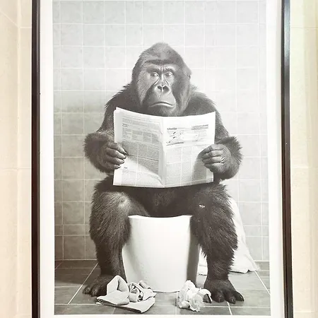 El Encanto De La Playa Santa Mª Grupo Ac Gestion Cadice